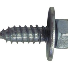 Acme Bolts 3 4