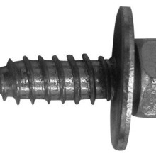 Acme Bolts 3 4