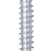Number Plate Plastic Top Screw Pack Of 2 (SelfTap Screw & Cap) Colour White