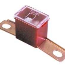 Fuse Screw Fit Slow Blow (Screw Fit Fuse) Amps 100A