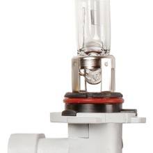 Halogen Bulb 12V 60W HB3 P20d Headlamp