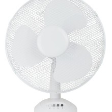 3 Speed Oscillating Desk Fan (Fans)