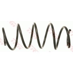 Coil Spring TRW JCS1060 OE Ref 169 321 17 04