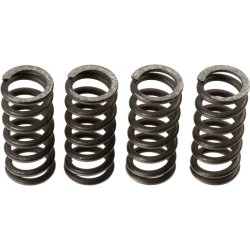 Clutch Spring Set TRW MEF135-4