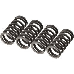 Clutch Spring Set TRW MEF147-4