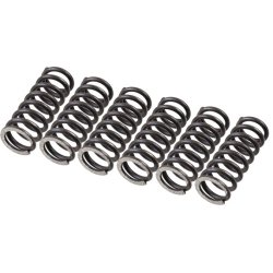 Clutch Spring Set TRW MEF155-6