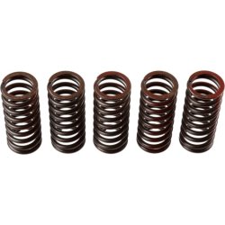 Clutch Spring Set TRW MEF304-5