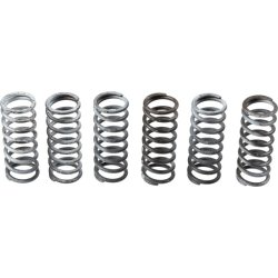 Clutch Spring Set TRW MEF305-6