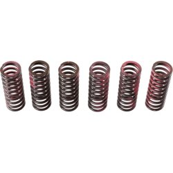 Clutch Spring Set TRW MEF307-6