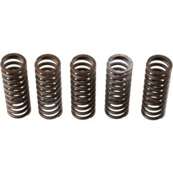 Clutch Spring Set TRW MEF308-6