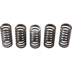 Clutch Spring Set TRW MEF309-5