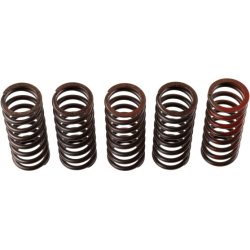 Clutch Spring Set TRW MEF310-5
