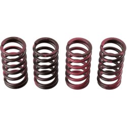 Clutch Spring Set TRW MEF311-4