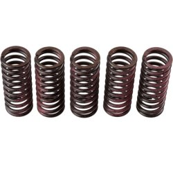 Clutch Spring Set TRW MEF312-5