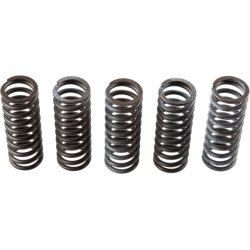 Clutch Spring Set TRW MEF314-5