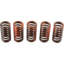 Clutch Spring Set TRW MEF317-5