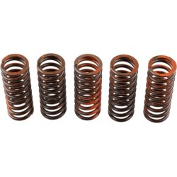 Clutch Spring Set TRW MEF318-5