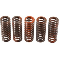 Clutch Spring Set TRW MEF321-5