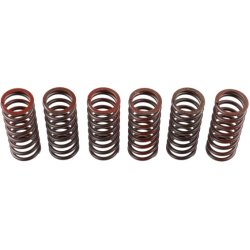 Clutch Spring Set TRW MEF326-6