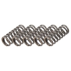 Clutch Spring Set TRW MEF363-5
