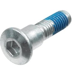 Brake Disc Screw Set TRW MSS118-5