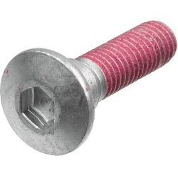 Brake Disc Screw Set TRW MSS122-4