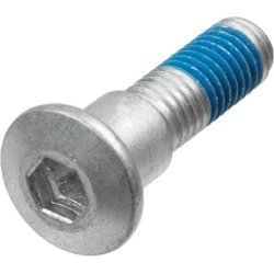 Brake Disc Screw Set TRW MSS132-6