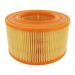 Air Filter VAICO V10-0603 OE Ref 25129620A