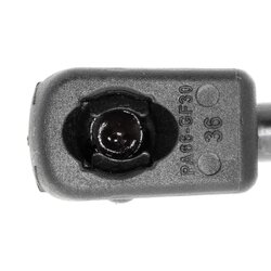 Vérin de hayon VAICO V10-1934 pour SEAT TOLEDO OE 1M5827550B VAICO