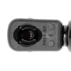 Vérin de hayon VAICO V10-1960 pour AUDI A8 OE 4E0827551C VAICO