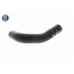 Durite de radiateur V10-4860 pour AUDI, SEAT, SKODA, VW OE 1K0121096BE VAICO