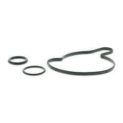 Pompe à eau VAICO V10-50097 pour AUDI, VW OE 079121014F VAICO