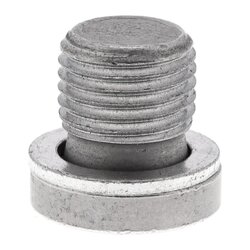 Bouchon de vidange d'huile VAICO V10-5824 pour AUDI, SEAT, SKODA, VW VAICO