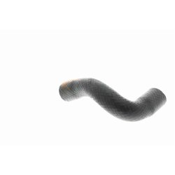 Durite de radiateur V20-1650 pour BMW Série 3 OE 64211394291 VAICO