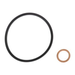 Filtre à huile VAICO V20-3995 pour BMW OE 11428575211 VAICO