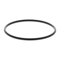 Filtre à carburant VAICO V22-0529 pour CITROËN, FORD, VAUXHALL, PEUGEOT et plus encore... VAICO