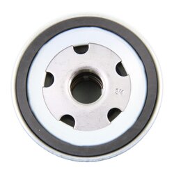 VAICO Filtre à huile V24-0020 pour ABARTH, ALFA ROMEO, AUTOBIANCHI et plus. VAICO