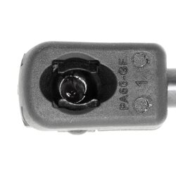 VAICO Vérin de hayon V24-0195 pour FIAT CINQUECENTO, SEICENTO VAICO