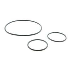 VAICO Pompe à eau V24-50014 pour FIAT, IVECO DUCATO, DAILY OE 504033770 VAICO