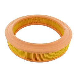 Air Filter VAICO V25-0043 OE Ref 79BF 9601 AA