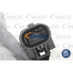 Engine Mount VAICO V30-2498 OE Ref 2042403617 VAICO