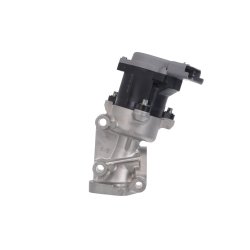 Egr Valve VALEO 700411 OE Ref 1618N6