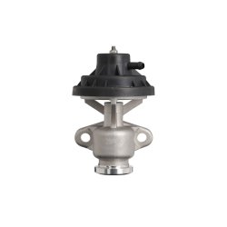 Vanne EGR VALEO 703257 pour SEAT, SKODA, VW OE 038131501