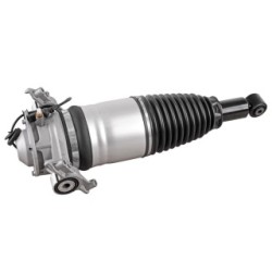 Air Suspension Strut VEMO V10-50-0007 OE Ref 7P6 616 019 J