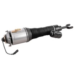 Air Suspension Strut VEMO V10-50-0018 OE Ref 3D0 616 040 S