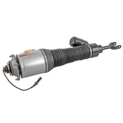 Air Suspension Strut VEMO V10-50-0019 OE Ref 3D0 616 039 AB