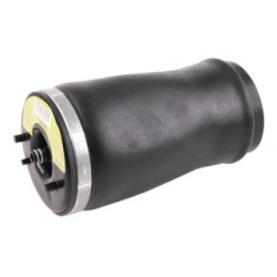 Air Suspension Strut VEMO V20-50-0003-1 OE Ref 6 750 355