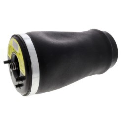 Air Suspension Strut VEMO V20-50-0004-1 OE Ref 6 750 356