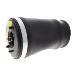 Air Suspension Strut VEMO V20-50-0020-1 OE Ref 1 095 081