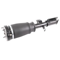 Air Suspension Strut VEMO V20-50-0024 OE Ref 6 757 502